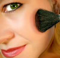 Party make-up