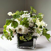 Waxflower Flowers on Flower Ideas For Events  Flower Fragrances