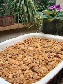 Apple Crisp