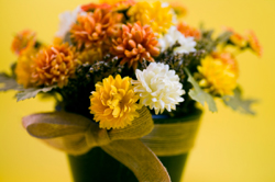 Autumn Potted Flowers