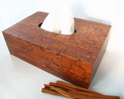 crushed cinnamon tissue box holder