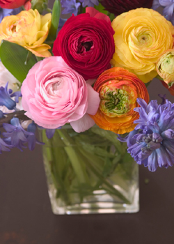 Different Color Flowers