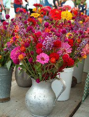 Flowers In Pewter Pitcher