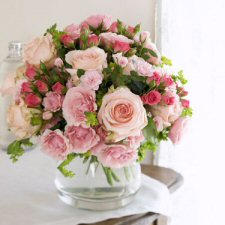 Pink Roses