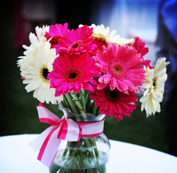 Pink And White Flowers