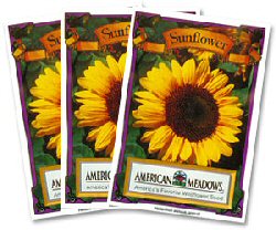 Sun Flower Packet