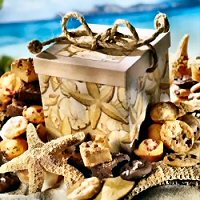 Sea Shell Basket
